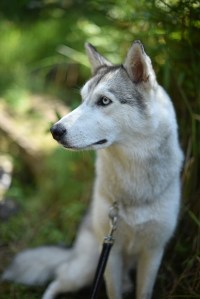 dsc_1617